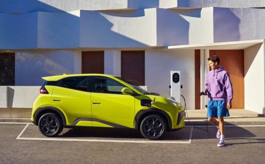BYD Dolphin Surf