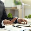 Sztuczna inteligencja umożliwia zaawansowaną analizę danych, pomagając w zmniejszaniu śladu węgloweg