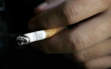 Szara strefa na rynku tytoniowym kurczy się, ale nielegalne papierosy wciąż łatwo kupić