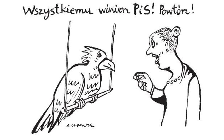 Komentarz rysunkowy. Wszystkiemu winien PiS!