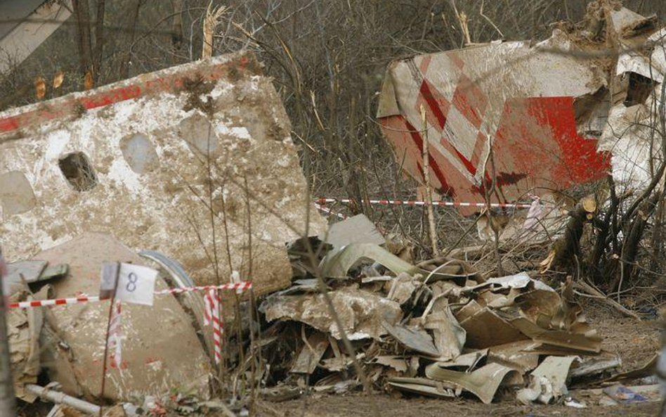 Szczątki samolotu na miejscu katastrofy