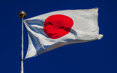 Japoński polityk sugeruje ludobójstwo "dzietnych ras"