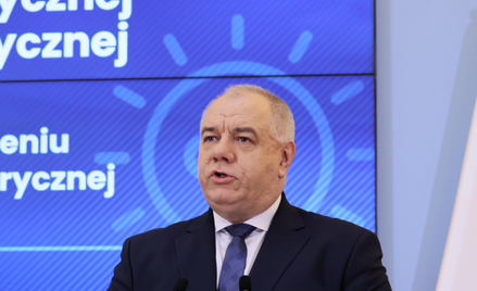 Zaproponowany podatek od zysków nadzwyczajnych dla spółek energetycznych ma wynosić 50 proc. i przyn