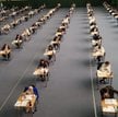 W 2024 r. do egzaminów wstępnych na aplikacje adwokacką, radcowską, notarialną i komorniczą przystąp