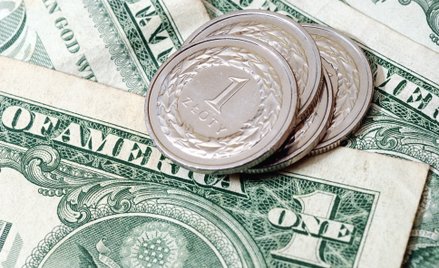 Złoty wrócił na szlak umocnienia