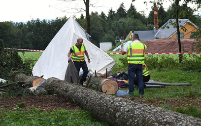Niemcy - nastoletni turysta zabity przez drzewo