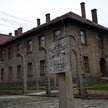 Auschwitz: Blok śmierci grozi zawaleniem. Należy go zamknąć dla zwiedzających?