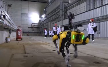 Pies-robot rozpoczął pracę w Czarnobylu