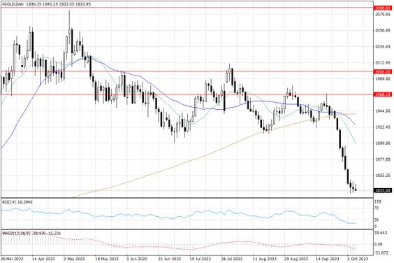 Notowania złota – dane dzienne