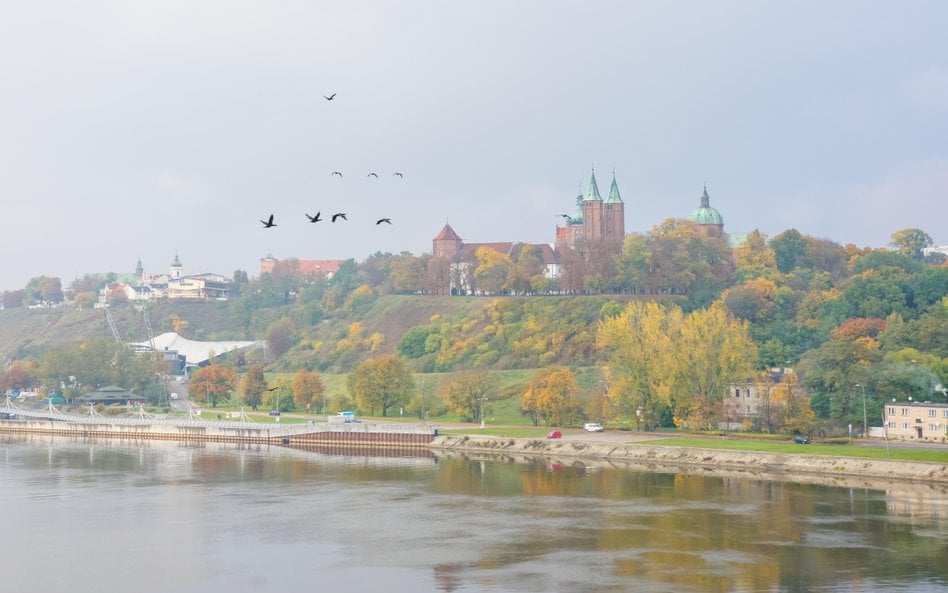 Płock powinien zostać stolicą województwa - twierdzą eksperci