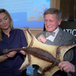Wielkie odkrycie polskich paleontologów: Ozimek volans