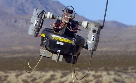 Tarantula-Hawk, fot. US Navy