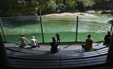 Niemiecka turystyka odzyska dawną formę jesienią przyszłego roku