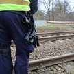 Służby w miejscu znalezienia ślepych nabojów karabinowych na remontowanym odcinku torów kolejowych w