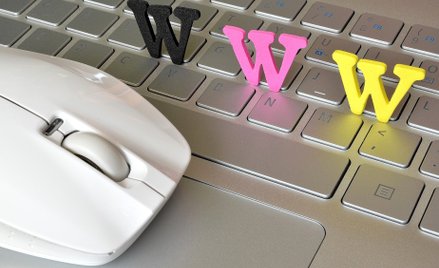 Cześć przedsiębiorców nie pali się do cyfryzacji, a część firm nie ma nawet strony www.