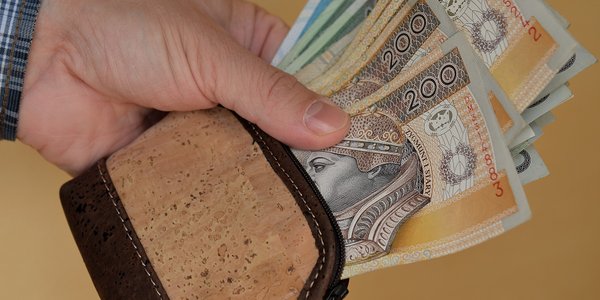 Polska płaca minimalna goni unijną czołówkę