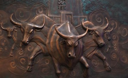 Statystyki po stronie byków