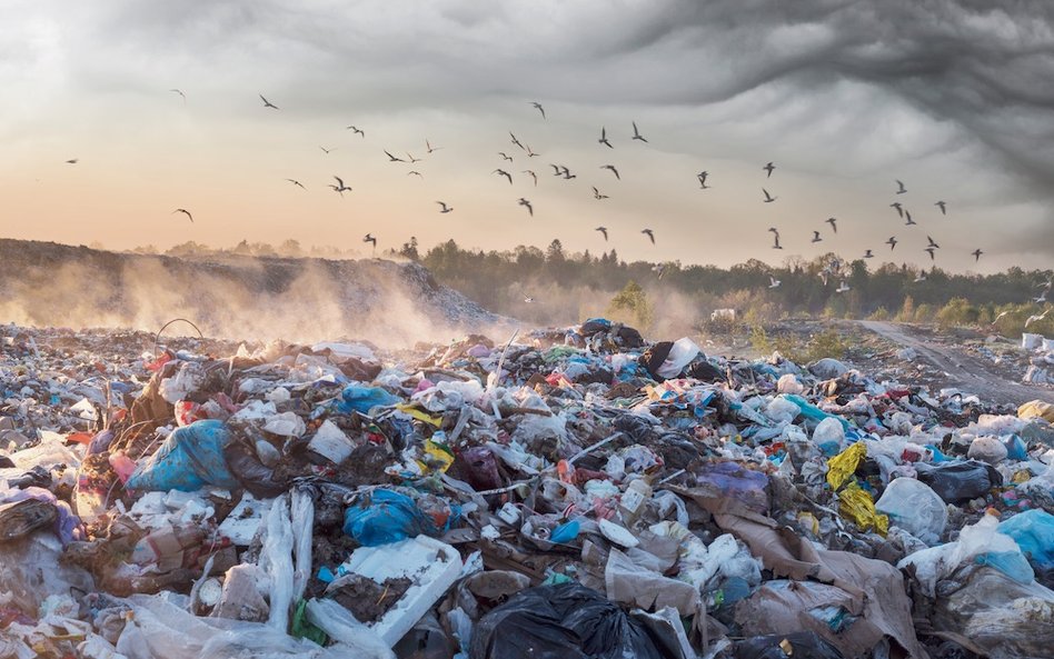 2021 rok bez jednorazowego plastiku