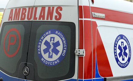 7-latka została zagryziona przez psy. Nowe szczegóły w sprawie