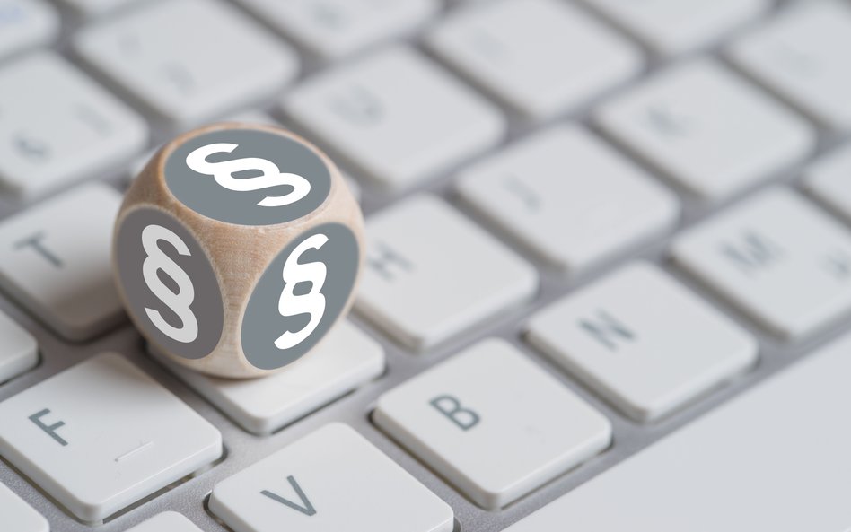 Egzaminatorzy MS z dostępem do systemów informacji prawnej
