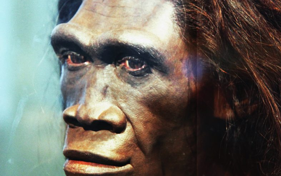 Nasz przodek: Homo erectus. Fot. Tim Evanson