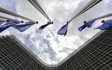 Stanowisko Związku Przedsiębiorców i Pracodawców w sprawie Unii Europejskiej