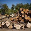 Skarga Kanady na USA w WTO o drewno