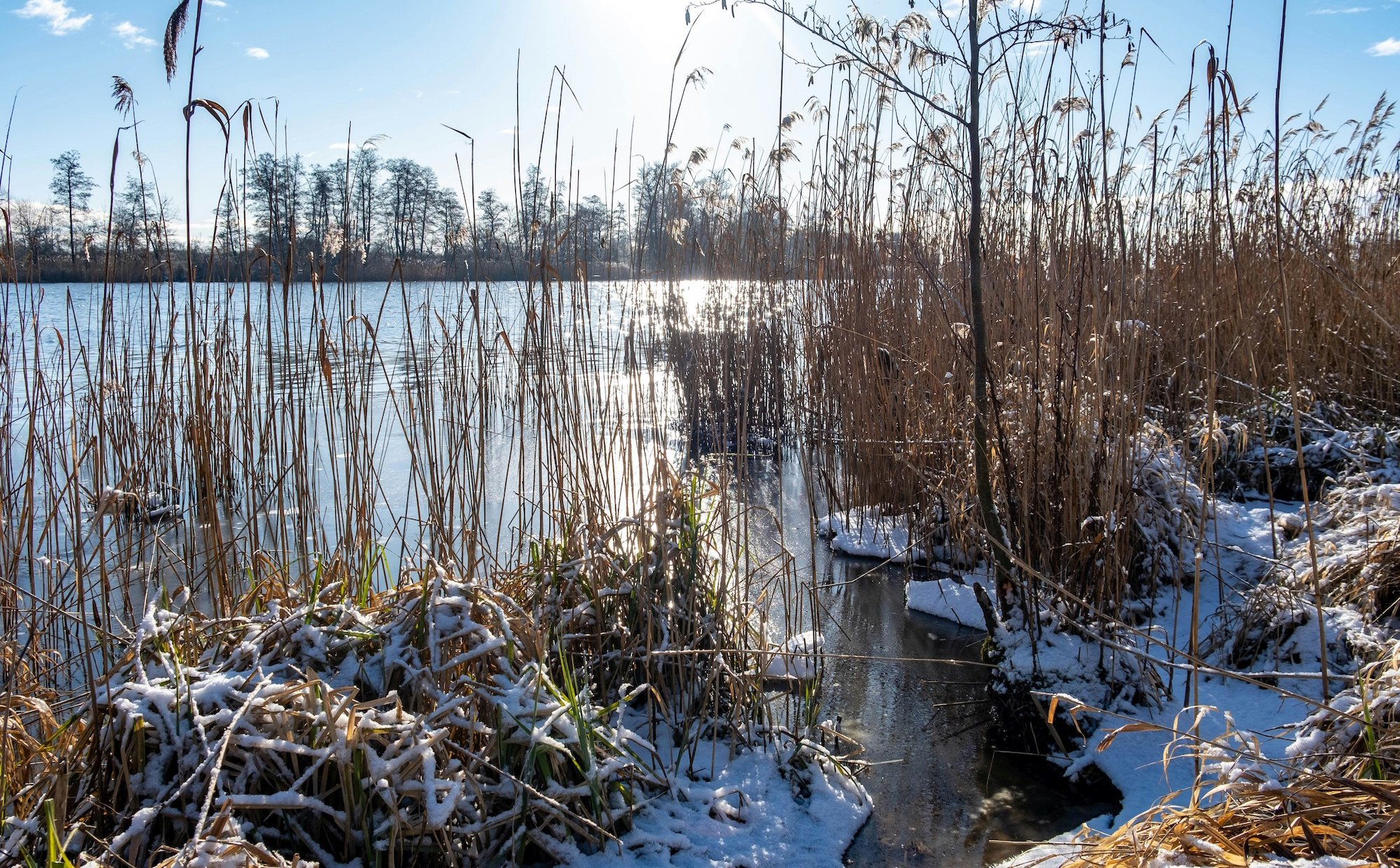 Zielone Orły „Rzeczpospolitej”: Organizacje ekologiczne