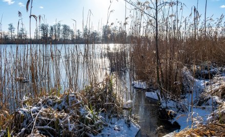Odra – ochroną rzek zajmują się i WWF Polska, i Fundacja EkoRozwoju.