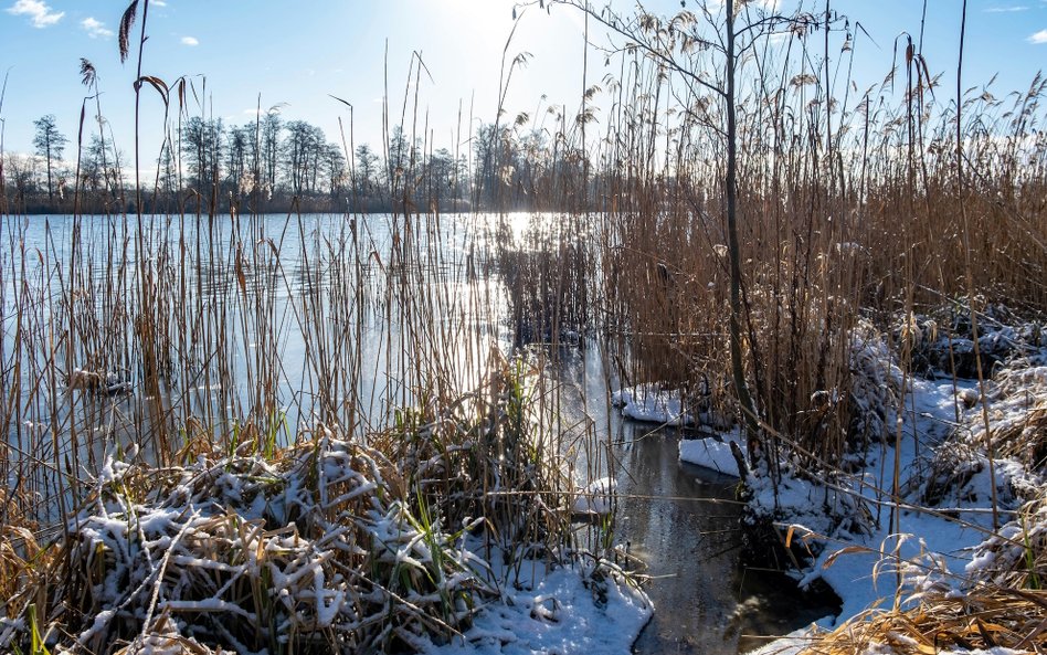 Odra – ochroną rzek zajmują się i WWF Polska, i Fundacja EkoRozwoju.