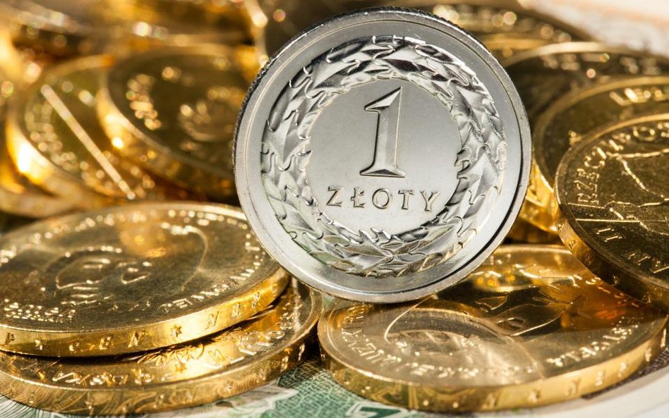 Złoty znalazł się między młotem a kowadłem