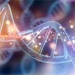 Drzewo pragenealogiczne