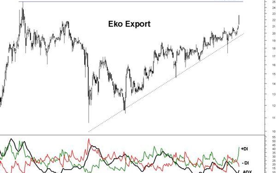 Eko Export przy szczytach z ubiegłego roku