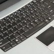 Mniej zoofilskiej pornografii w Internecie?