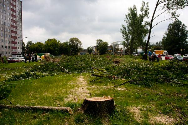 Wywłaszczenie: Odszkodowanie Za Działki Zabrane Pod Drogi - Rp.pl