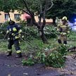 Strażacy usuwają zniszczenia po burzy w Przemyślu