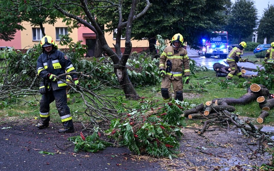 Strażacy usuwają zniszczenia po burzy w Przemyślu