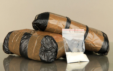 Belgia: 27 ton kokainy w porcie w Antwerpii