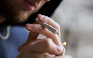 Szwecja: Mimo polityki "zero tolerancji dla narkotyków" spożycie marihuany wzrosło do rekordowego poziomu