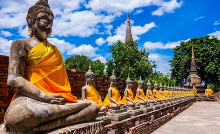 Posągi Buddy w starej świątyni Ayutthaya w Tajlandii.