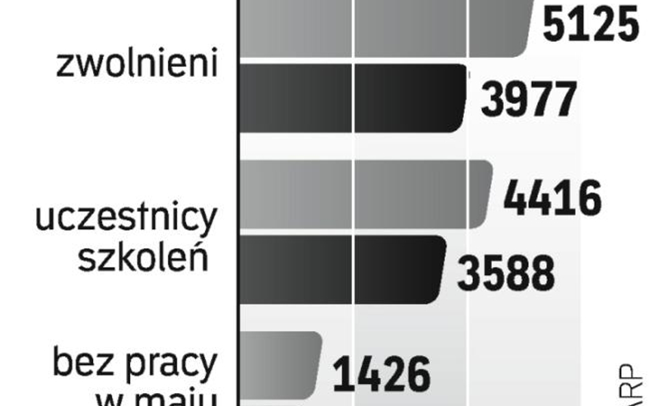 Większość byłych stoczniowców znalazła zatrudnienie. Ale niekoniecznie w wyuczonym zawodzie.