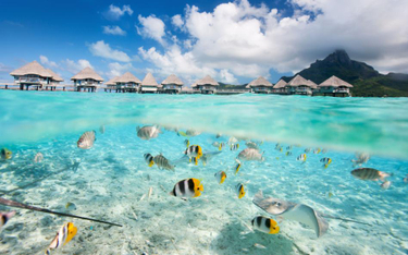 Chiński luksusowy ośrodek na Tahiti
