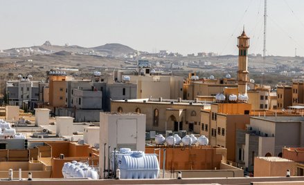 Arabia Saudyjska - to nie jest kraj dla wilków stepowych