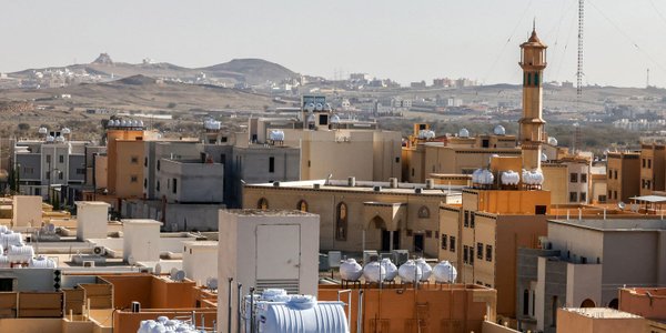 Arabia Saudyjska - to nie jest kraj dla wilków stepowych