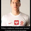 Memy internetowe po zwycięstwie Polaków w mistrzostwach świata w siatkówce