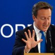 David Cameron grozi wetem, jeśli budżet UE nie będzie zgodny z żądaniami Wielkiej Brytanii