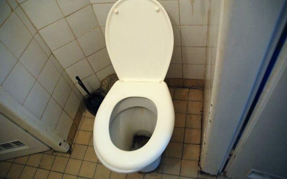 Czy szef może polecić handlowcom sprzątanie toalet w pracy?
