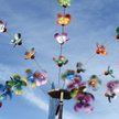 Festiwal latawców