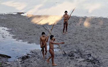 Brazylia: Członkowie niepoznanego plemienia zamordowani przez poszukiwaczy złota