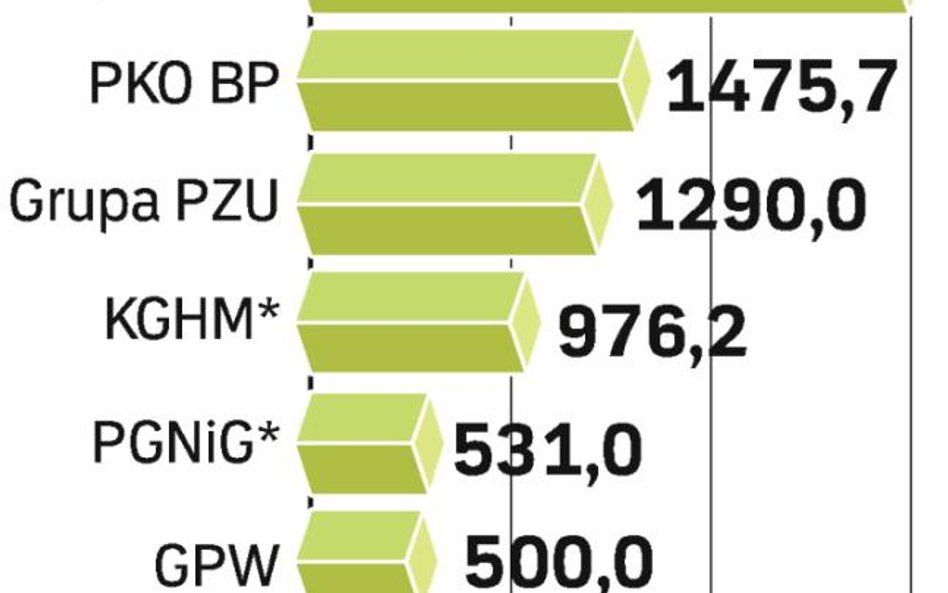 Kasę państwa poratują duże spółki. W 2008 r. wypłacały średnio 50 proc. zysków.